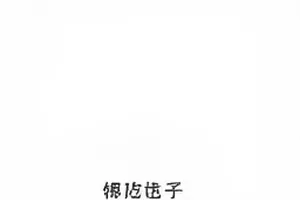 吃瓜网址首屏主推图：热点话题清单与围观入口的聚合示意